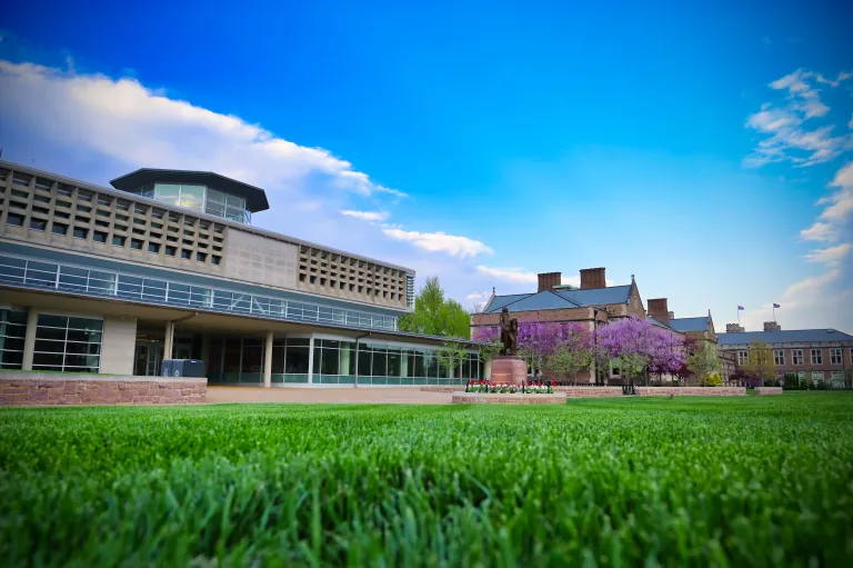 olin library